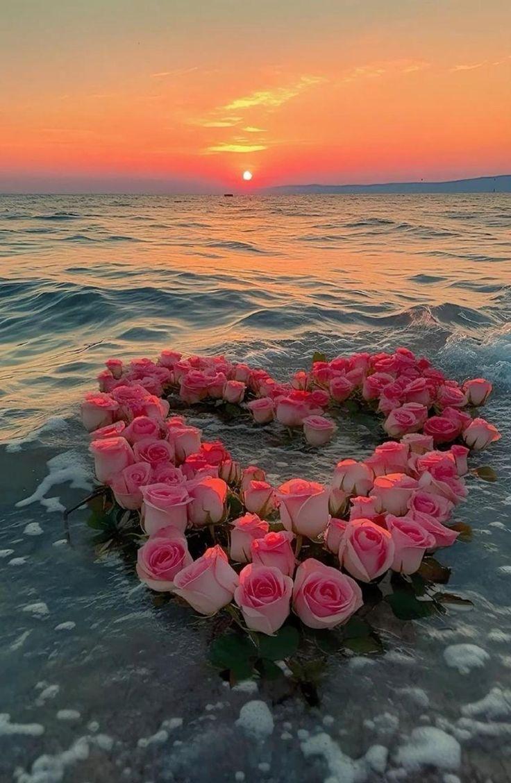 Sunset Splendor Blossom Medley